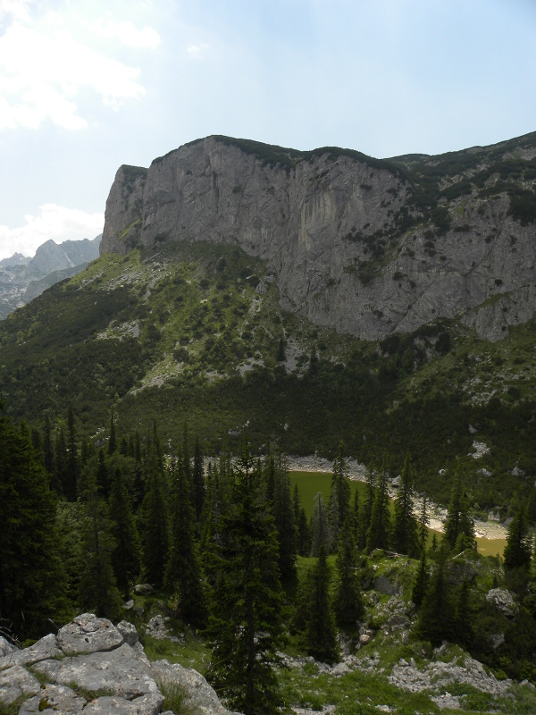 marmoreum from Crvena greda, Abhang