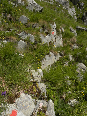 marmoreum from Ćafa Romanit (unten)