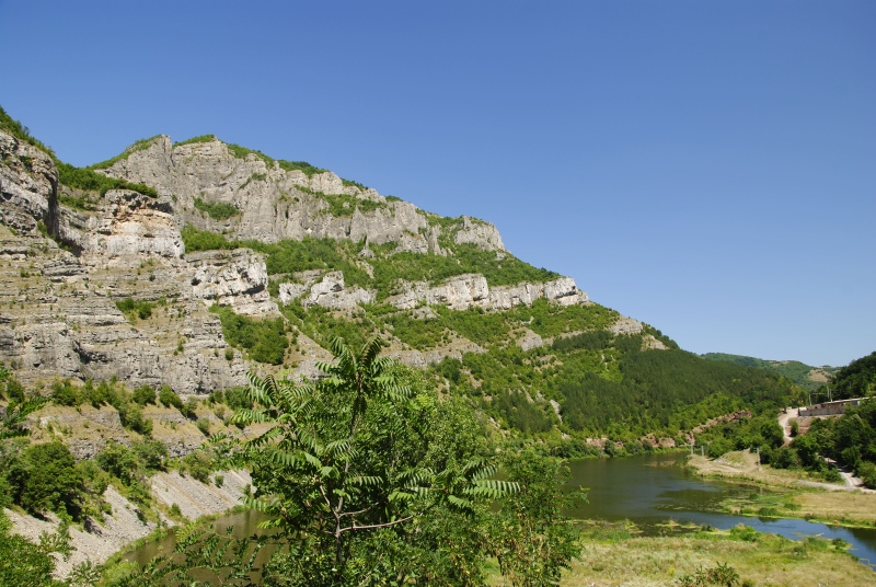 heuffelii from Opletnya, W