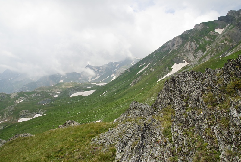 heuffelii from Kobilino pole, O