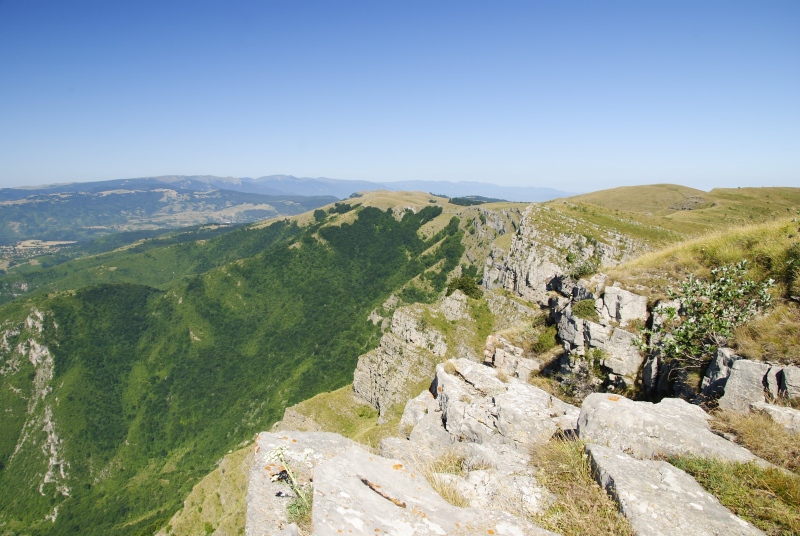 heuffelii from Kobilini steni, Süd