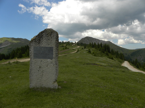 heuffelii from Cakor
