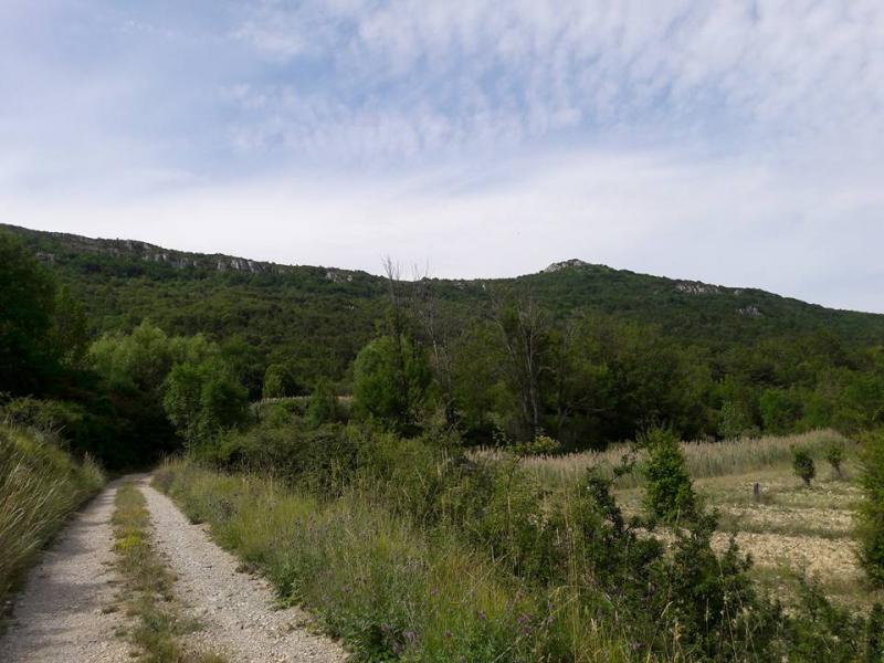 calcareum from Rochers Mindrits