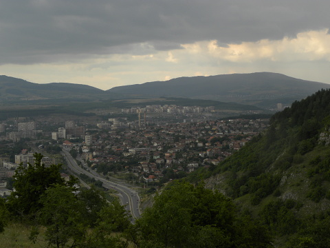 marmoreum ssp. marmoreum from Pernik