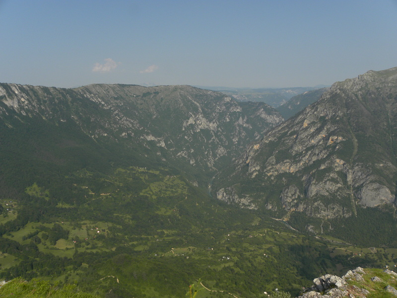 marmoreum ssp. marmoreum from Ćurovac, Aussicht