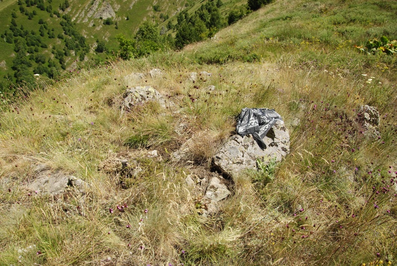 marmoreum ssp. erythraeum from Dalgia Rid, Mitte