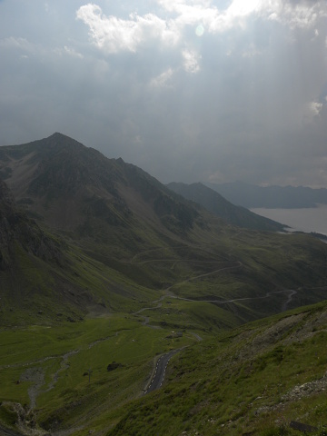 montanum ssp. montanum from Col du Tourmalet (unterhalb)