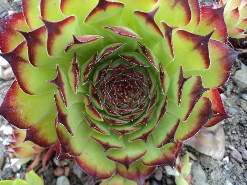 El Misti