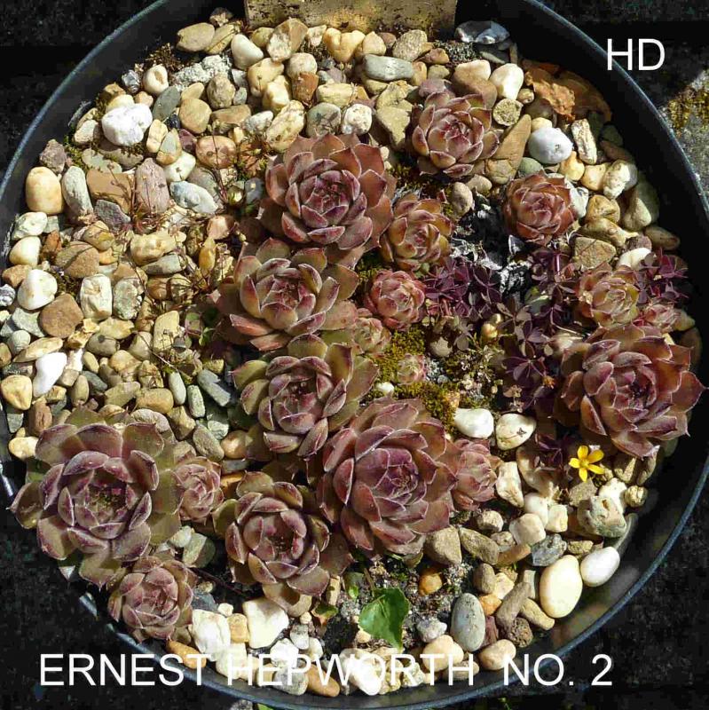 Ernest Hepworth No. 2