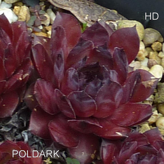 Poldark