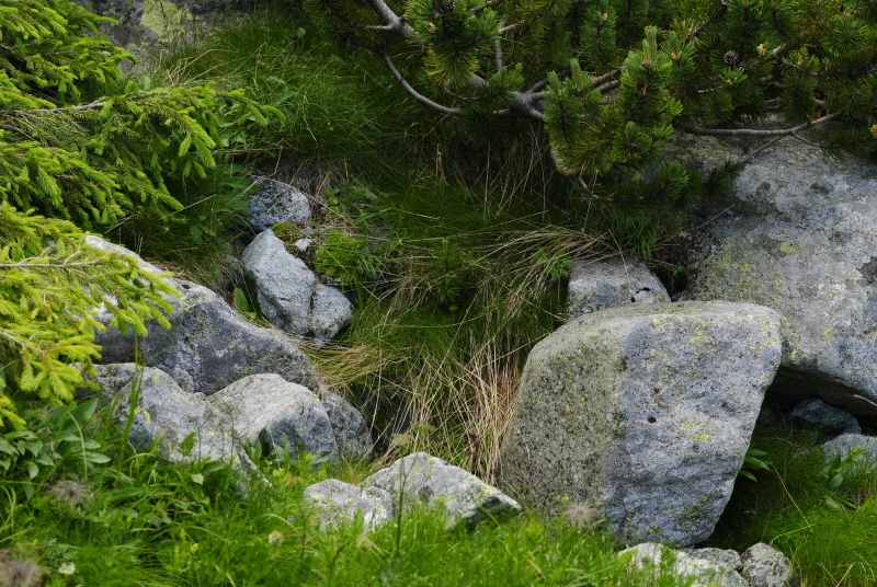 Reisebericht: Velické pleso