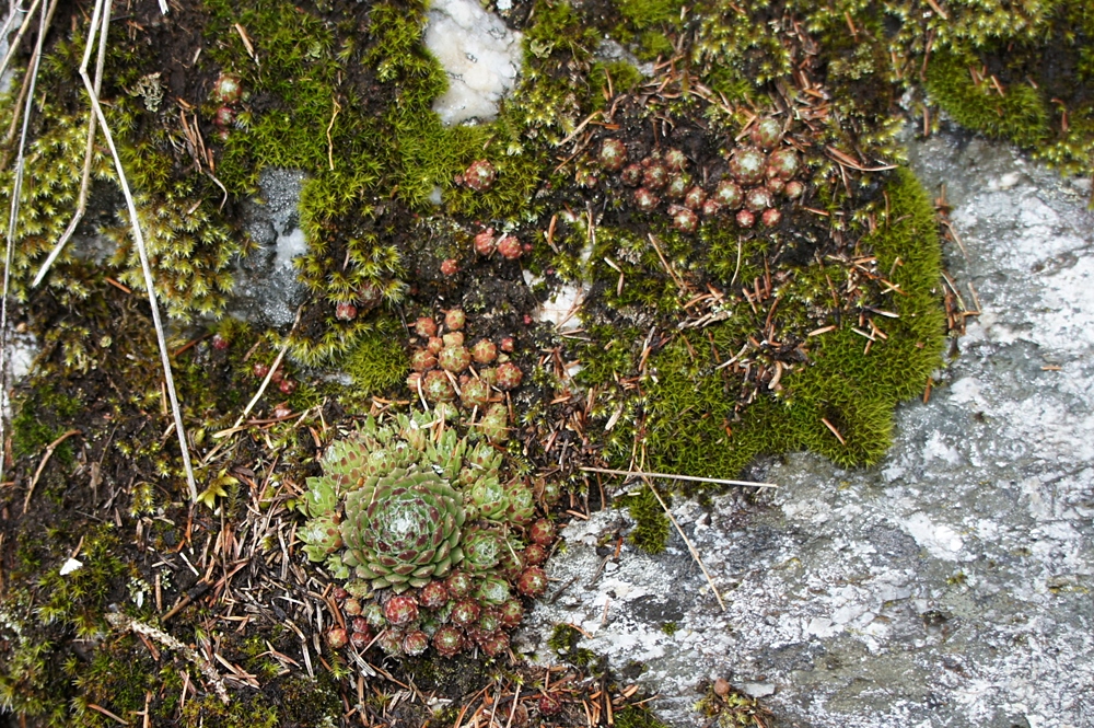 Reisebericht: Antholzer See (76257)