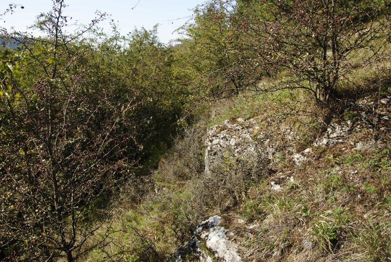 Reisebericht: Rabí (Straße, SW)