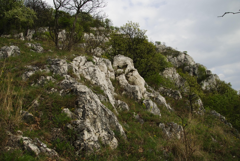 Reisebericht: Kesztölc, Kétágú-hegy 1
