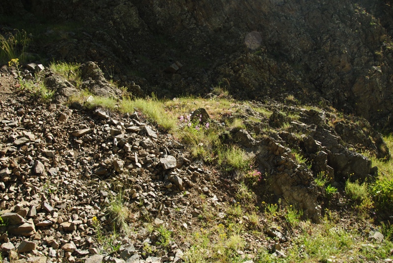 herfriedianum from Yaylalar, 4 km O