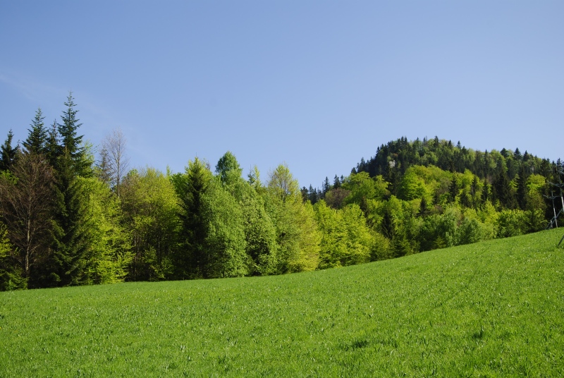 Reisebericht: Hrb