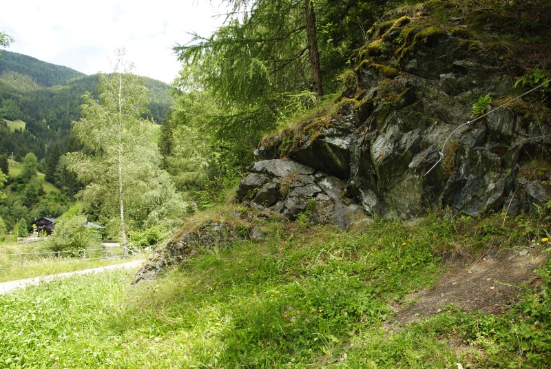arachnoideum from Panzendorf, unter der Burg Heinfels