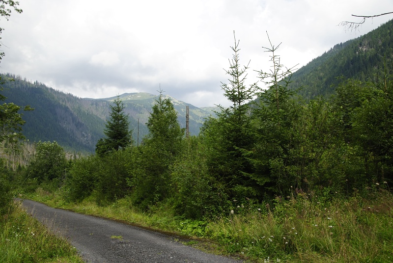 reise