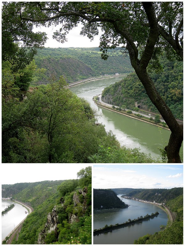 Aussicht auf den Rhein