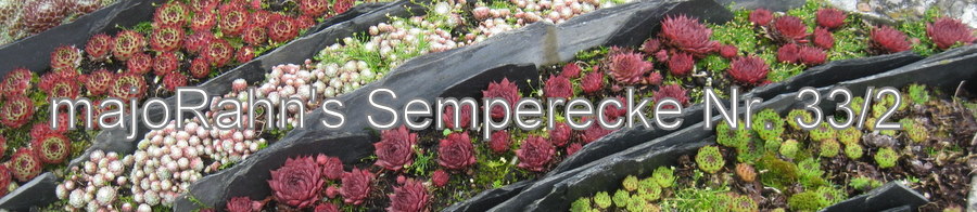 Semperecke Nr. 33-2