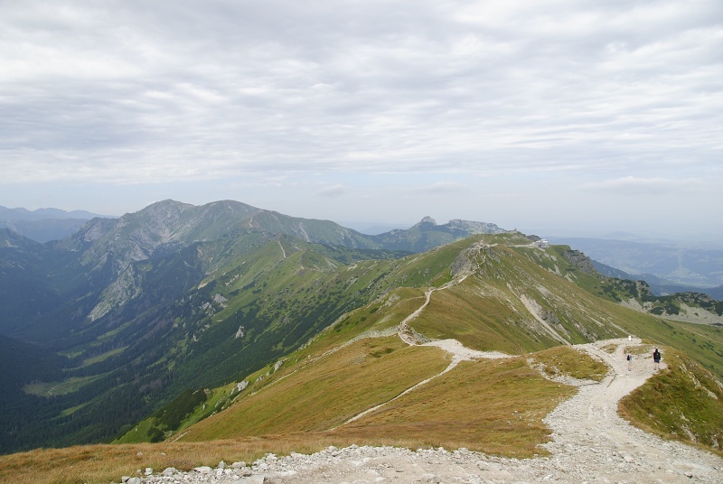 reise