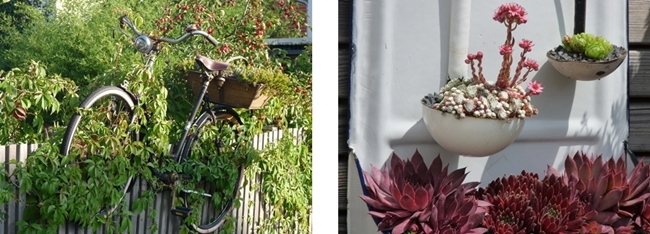 Garten von Andreas