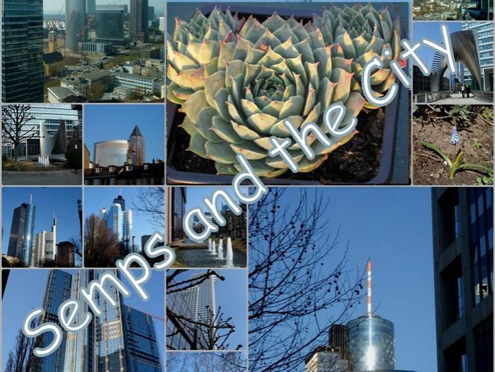 Collage Frankfurt