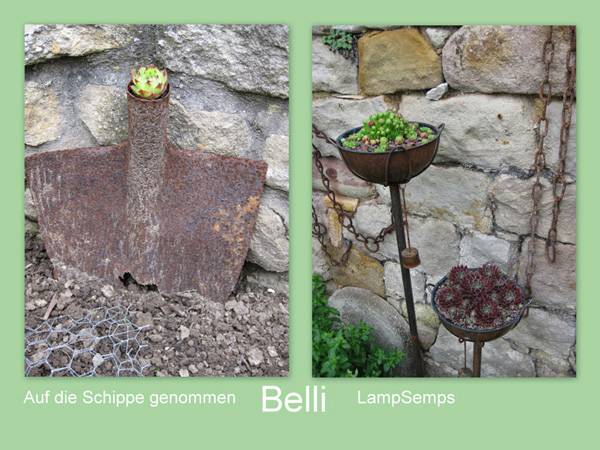 Schippe und Lampen