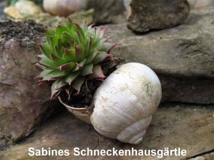 Schneckenhausgarten