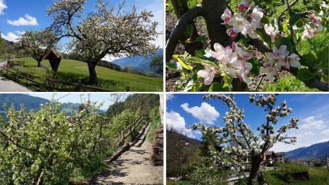 Keschtnweg