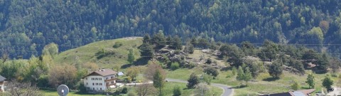 Trumbichl