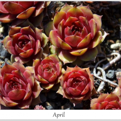 April