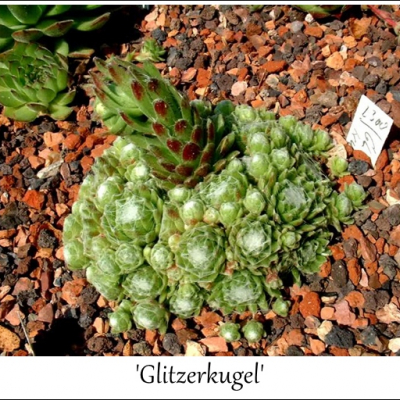 Glitzerkugel