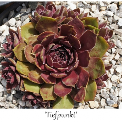 Tiefpunkt