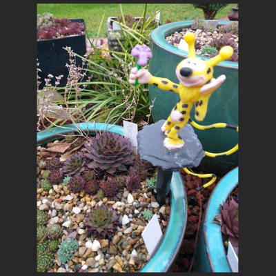 Marsupilami