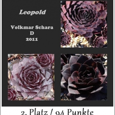 Leopold