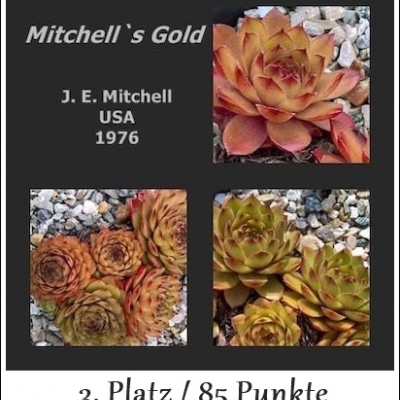Michell's Gold