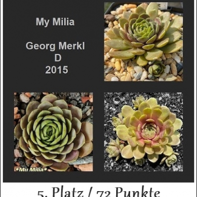 My Milia