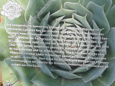 Schautafel