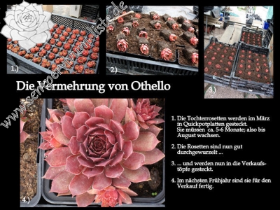 Othello