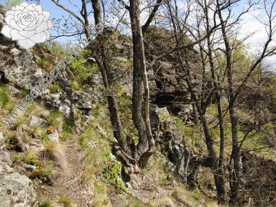 Reisebericht: Žarnov 1