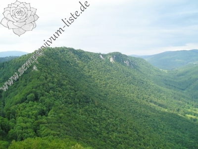 Reisebericht: Muránsky hrad