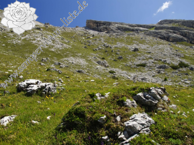 Reisebericht: Picco di Vallandro, S Abhang