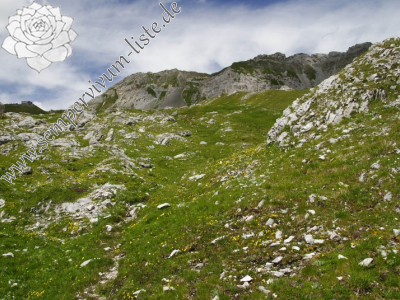 Reisebericht: Passo delle Selle