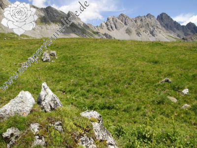 Reisebericht: Campagnacia