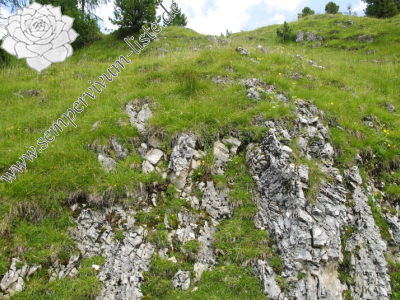 Reisebericht: Cima della Venegiota, SW Abhang