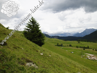 Reisebericht: Passo di San Pellegrino, oberhalb