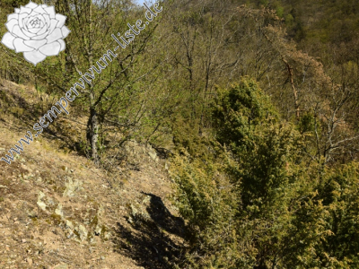 Reisebericht: Skryje, NO von der Brücke