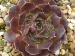Mindy / Jovi