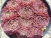 Red Rose / Jovi